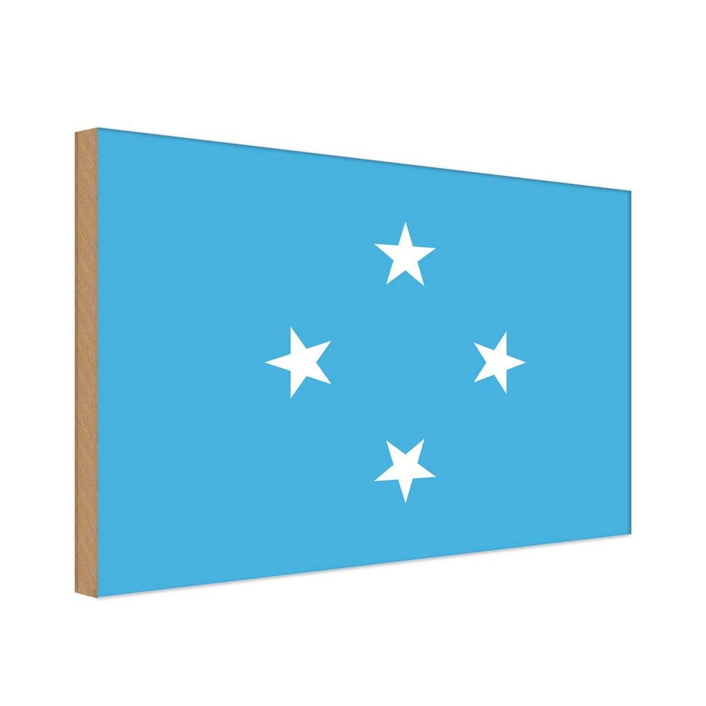 Holzschild 20x30 cm Mikronesiens Micronesia Flagge Fahne Wappen