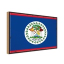 Holzschild 20x30 cm Belizes Belize Flagge Fahne Wappen