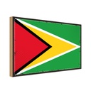 Holzschild 20x30 cm Guyanas Guyana Flagge Fahne Wappen