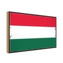Holzschild 20x30 cm Ungarns Hungary Flagge Fahne Wappen