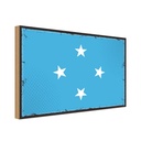 Holzschild 20x30 cm Mikronesiens Micronesia Flagge Fahne Wappen