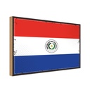 Holzschild 20x30 cm Paraguays Paraguay Flagge Fahne Wappen
