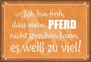 Holzschild 20x30 cm bin froh mein Pferd nicht spricht