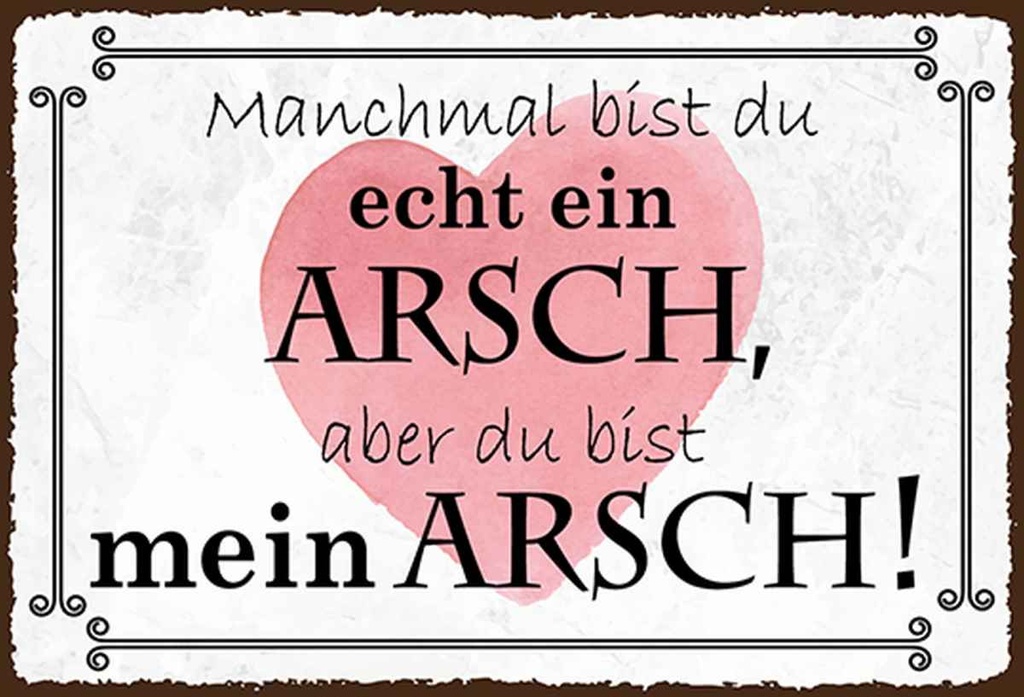 Holzschild 20x30 cm manchmal bist du ein ARSCH aber