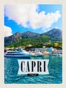 Holzschild 30x20 cm Capri Italy Insel Meer Urlaub Bildmotiv Reisemotiv Abenteuer Reisen