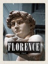 Holzschild 30x20 cm Florence Italy David Michelangelo