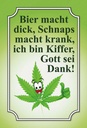 Holzschild 30x20 cm Bier macht dick Schnaps krank