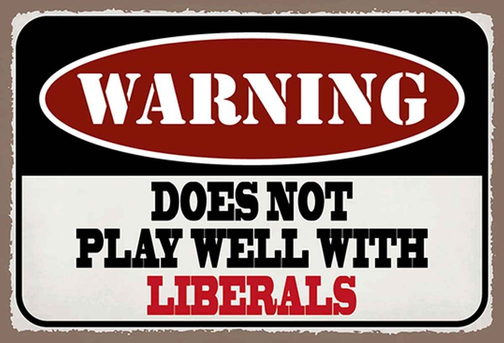 Holzschild 20x30 cm Warning does not play with liberals
