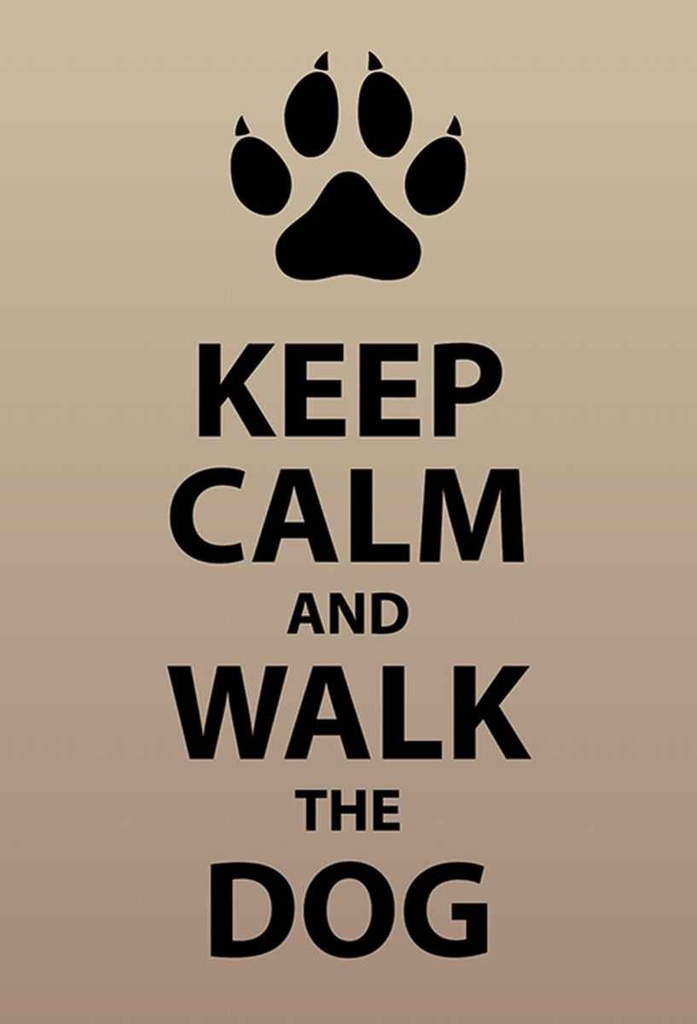 Holzschild 30x20 cm Keep calm and walk the dog