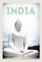 Holzschild 30x20 cm Indien weiße Skulptur meditieren Gott Bildmotiv Reisemotiv Abenteuer Reisen