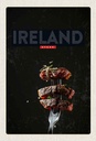 Holzschild 30x20 cm Irland Fleisch Steack Gabel Bildmotiv Reisemotiv Abenteuer Reisen