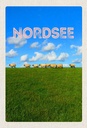 Holzschild 30x20 cm Nordsee Wolken Wiese Schafe Natur Bildmotiv Reisemotiv Abenteuer Reisen