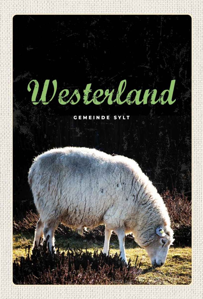 Holzschild 30x20 cm Westerland Natur Tiere Schafe Wiese Bildmotiv Reisemotiv Abenteuer Reisen