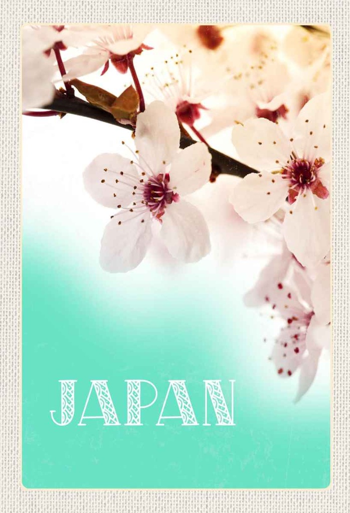 Holzschild 30x20 cm Japan Asien Blume weiß rosa Natur Bildmotiv Reisemotiv Abenteuer Reisen