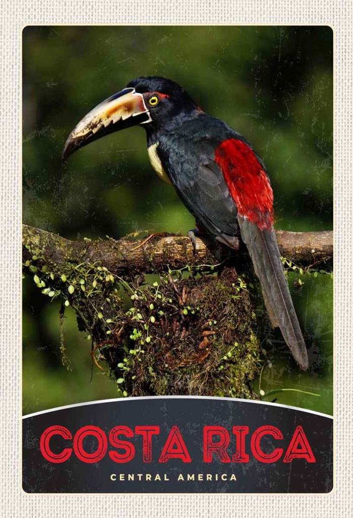 Holzschild 30x20 cm Costa Rica Central America Vogel Natur Bildmotiv Reisemotiv Abenteuer Reisen