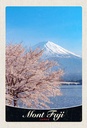 Holzschild 30x20 cm Mont Fuji Japan Asien Gebirge Baum Bildmotiv Reisemotiv Abenteuer Reisen