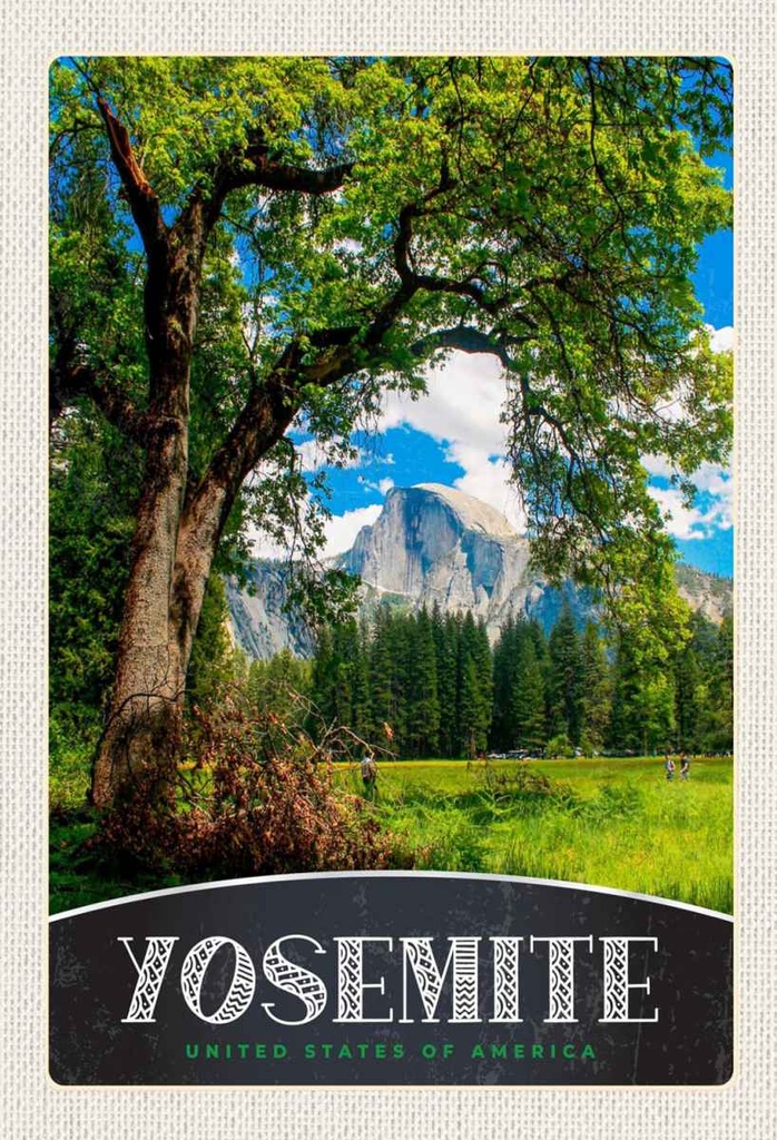 Holzschild 30x20 cm Yosemite Amerika Natur Bäume Gebirge Bildmotiv Reisemotiv Abenteuer Reisen