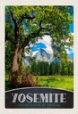 Holzschild 30x20 cm Yosemite Amerika Natur Bäume Gebirge Bildmotiv Reisemotiv Abenteuer Reisen