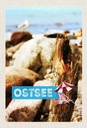 Holzschild 30x20 cm Ostsee Strand Steine Natur Meer Bildmotiv Reisemotiv Abenteuer Reisen