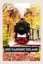 Holzschild 30x20 cm Rügen der rasende Roland Lokomotive Bildmotiv Reisemotiv Abenteuer Reisen