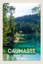 Holzschild 30x20 cm Caumasee Schweiz Berge Wälder Natur Bildmotiv Reisemotiv Abenteuer Reisen