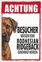 Holzschild 30x20 cm Tiere Achtung Rodhesian Ridgeback