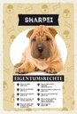 Holzschild 30x20 cm Sharpei Eigentumsrechte