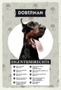Holzschild 30x20 cm Doberman Eigentumsrechte