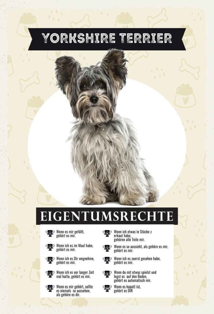Holzschild 30x20 cm Yorkshire Terrier Eigentumsrechte