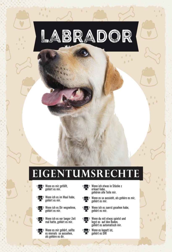 Holzschild 30x20 cm Labrador Eigentumsrechte