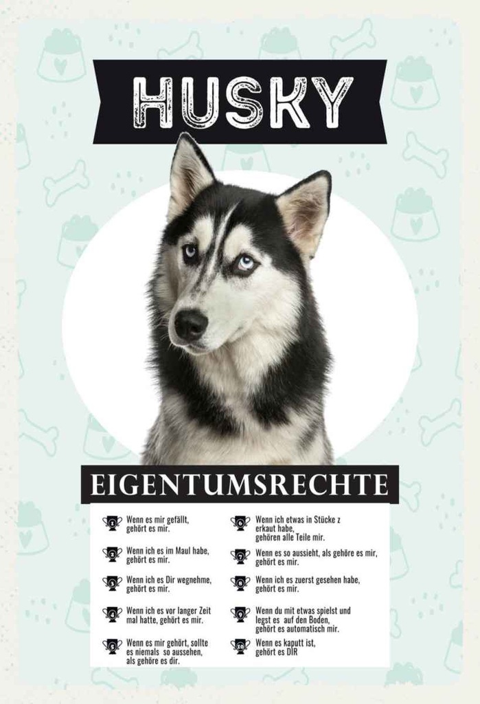 Holzschild 30x20 cm Husky Eigentumsrechte