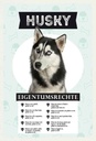 Holzschild 30x20 cm Husky Eigentumsrechte