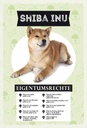 Holzschild 30x20 cm Shiba Inu Eigentumsrechte