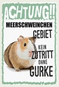 Holzschild 30x20 cm Tiere Achtung Meerschweinchen