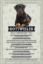Holzschild 30x20 cm Tiere Rottweiler Hausordnung Hunde