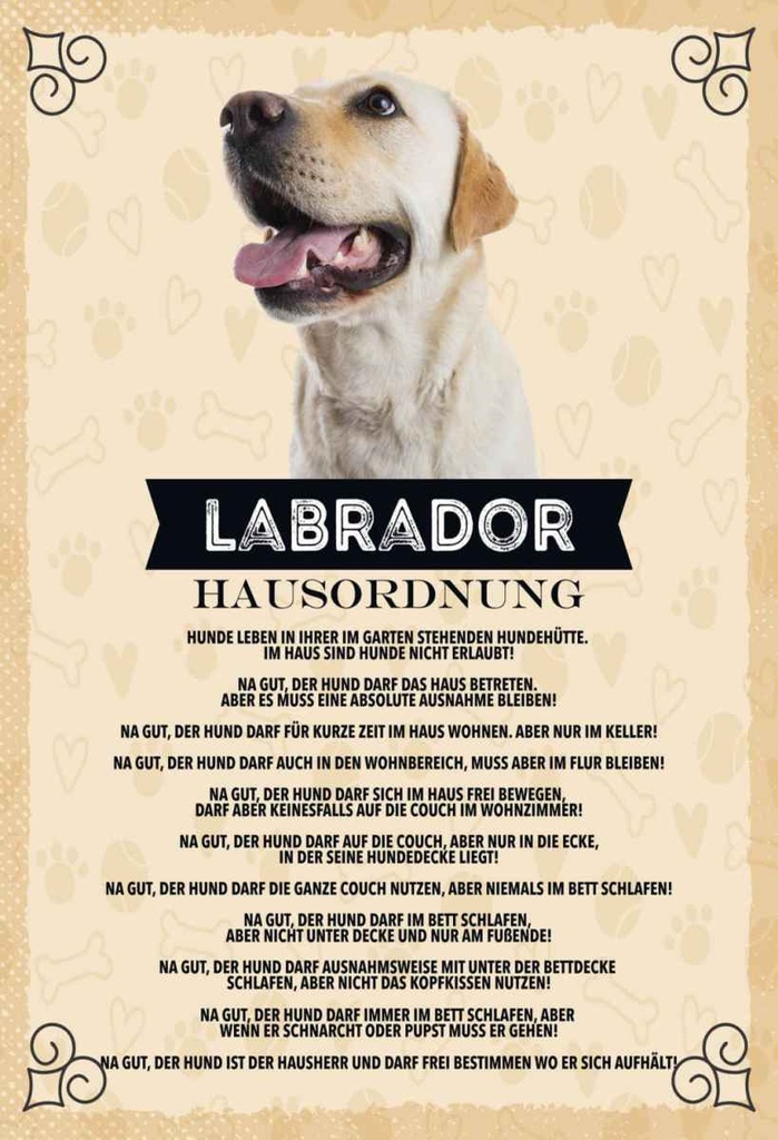 Holzschild 30x20 cm Tiere Labrador Hausordnung Hunde
