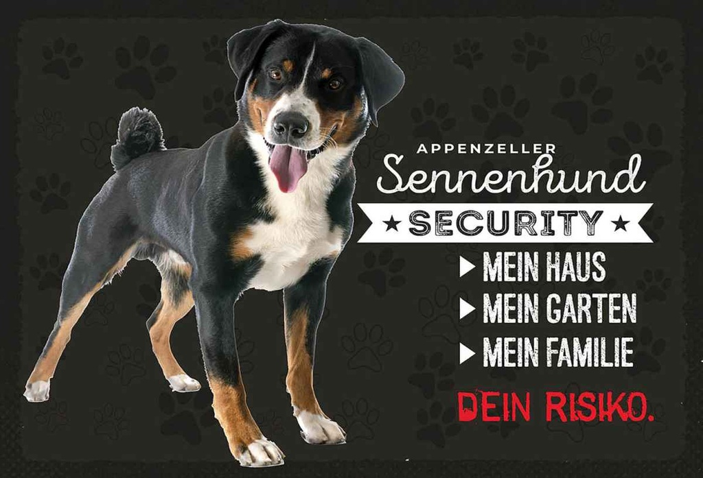 Holzschild 20x30 cm Sennenhund Security mein Haus