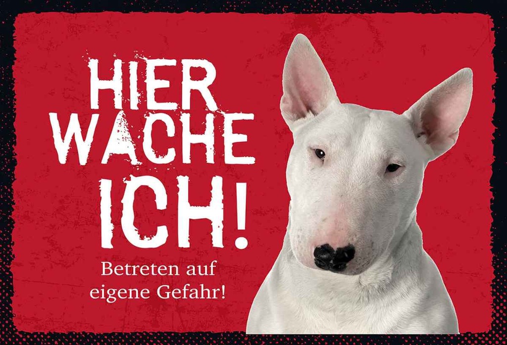 Holzschild 20x30 cm Bullterrier hier wache eigene Gefahr