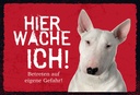 Holzschild 20x30 cm Bullterrier hier wache eigene Gefahr