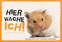 Holzschild 20x30 cm Hamster hier wache ich eigene Gefahr
