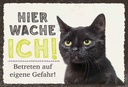 Holzschild 20x30 cm Katze hier wache ich eigene Gefahr