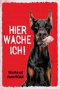 Holzschild 30x20 cm Doberman hier wache eigene Gefahr