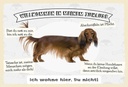 Holzschild 20x30 cm Tiere Hund ich wohne hier du nicht