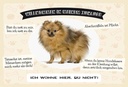 Holzschild 20x30 cm Tiere Spitz willkommen wohne hier