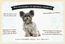Holzschild 20x30 cm Tiere Yorkshire Terriere willkommen