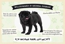 Holzschild 20x30 cm Tiere Mops willkommen Zuhause