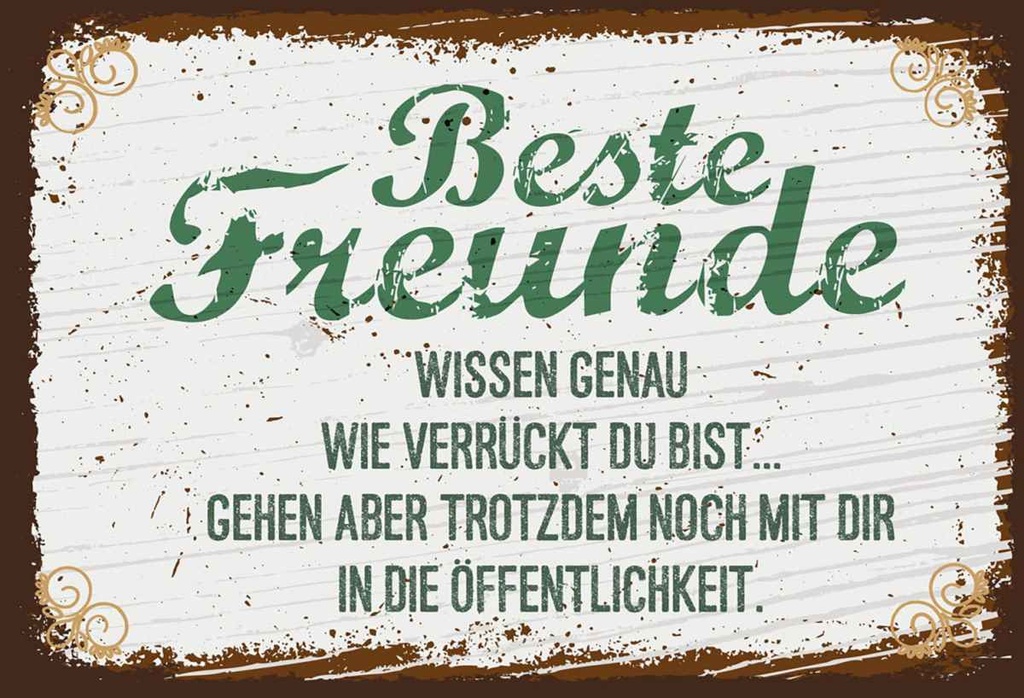 Holzschild 20x30 cm Beste Freunde verrückt wissen genau