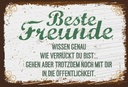 Holzschild 20x30 cm Beste Freunde verrückt wissen genau