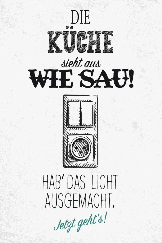 Holzschild 30x20 cm Die Küche sieht aus wie Sau!