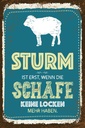 Holzschild 30x20 cm Sturm wenn Schafe keine Locken